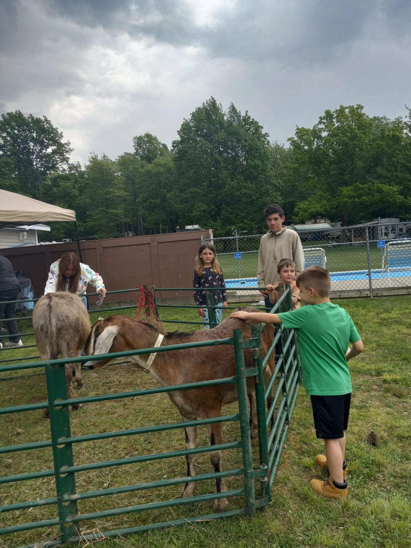 Petting Zoo – Homestead Park Campground